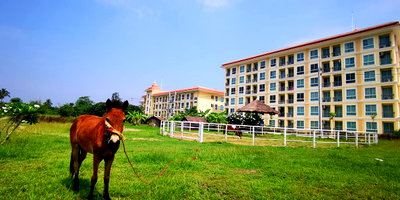Condos for sale : 🏔️✨ FOR SALE | The Chiva Sanctuary Khaoyai