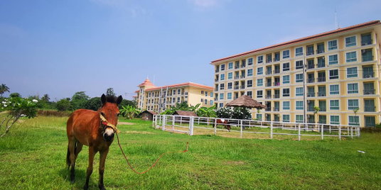🏔️✨ FOR SALE | The Chiva Sanctuary Khaoyai