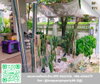 listing thumbnail image 11