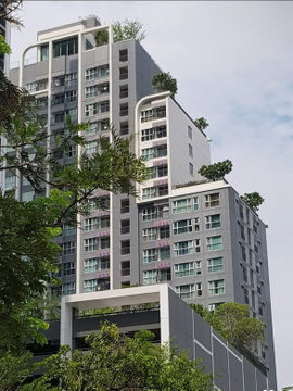 1Bed | 1Bath | BTS Phra Khanong | 35sqm | THB 21,000/mo | Fl.12 — Life Sukhumvit 48 Bangkok