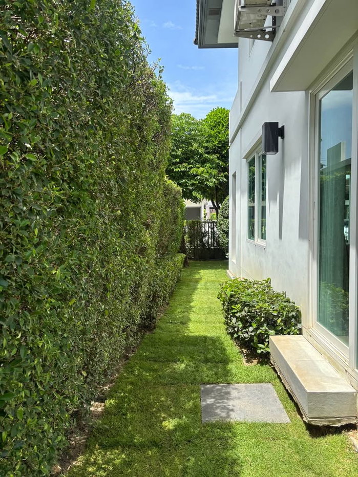 picture P0915/[FOR RENT] Pet-Friendly Single House at Manthana Onnut - Wongwaen 5 - 7/20
