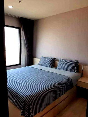 คอนโดให้เช่า : 1 ห้องนอน | 1 ห้องน้ำ | MRT Phetchaburi | 30 ตร.ม. | 18,000 บาท/เดือน | ชั้น 19 — Life Asoke กรุงเทพฯ