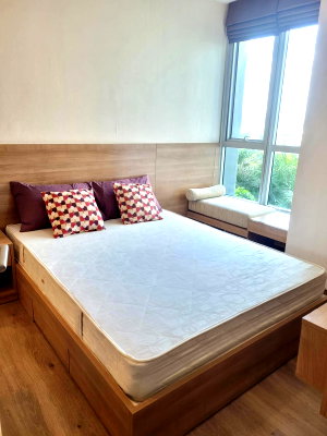 Condos for rent : 1Bed | 1Bath | BTS On Nut | 35sqm | THB 19,000/mo | Fl.8 — Rhythm Sukhumvit 50 Bangkok