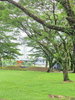 listing thumbnail image 20