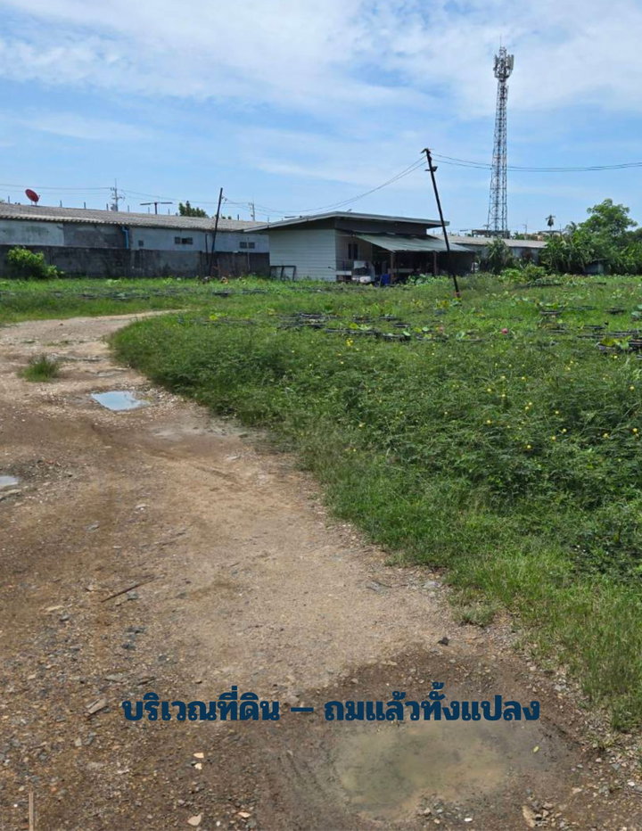 รูป ขายที่ดิน 5 ไร่ ถมแล้ว ลำลูกกา คลอง 2 ถนนลำลูกกา 11 (เสมาฟ้าคราม) ใกล้ Makro นาทองเจริญ 150 ม. - รูปที่ 3/5