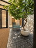 listing thumbnail image 22