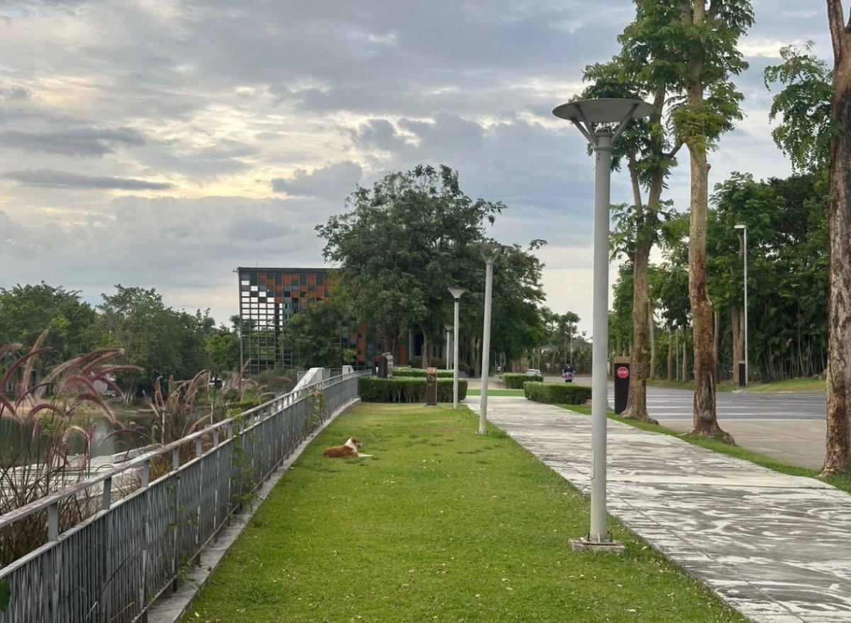 รูป 🏡 ขายคอนโด บรรยากาศสงบ ร่มรื่น ที่ คอนโด นอร์ท 8 in Serena Lake ( North 8 Condominium ) ติดกับคลับเฮ้าส์ ระบบรักษาความปลอดภัยสูง ทำเลดี เดินทางสะดวก - รูปที่ 12/13