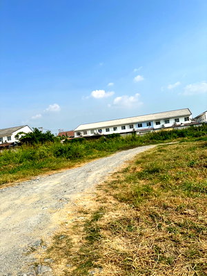 ที่ดิน สามพราน นครปฐม : ขายที่ดิน 100 ตรว. ต.ไร่ขิง อ.สามพราน จ.นครปฐม