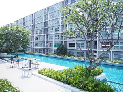 รูปภาพ 1Bed | 1Bath | ARL Ramkhamhaeng | 29sqm | THB 10,000/mo | Fl.7 — Dcondo Ramkhamhaeng Bangkok