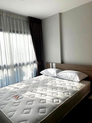 คอนโดให้เช่า : 1 ห้องนอน | 1 ห้องน้ำ | BTS Bang Chak | 23 ตร.ม. | 10,000 บาท/เดือน | ชั้น 3 — Plum Condo Sukhumvit 97.1 กรุงเทพฯ