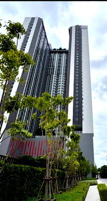 Condos for rent : 1Bed | 1Bath | BTS Phra Khanong | 30sqm | THB 20,000/mo | Fl.31 — Aspire Sukhumvit-Rama 4 Bangkok