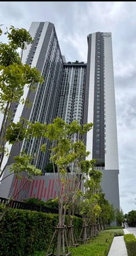 1 ห้องนอน | 1 ห้องน้ำ | BTS Phra Khanong | 30 ตร.ม. | 20,000 บาท/เดือน | ชั้น 31 — Aspire Sukhumvit-Rama 4 กรุงเทพฯ