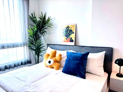 คอนโดให้เช่า : 1 ห้องนอน | 1 ห้องน้ำ | BTS On Nut | 30 ตร.ม. | 17,000 บาท/เดือน | ชั้น 24 — The Base Sukhumvit 77 กรุงเทพฯ