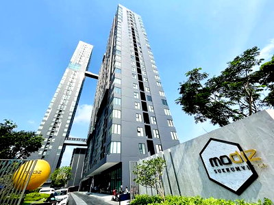 Condos for rent : 1Bed | 1Bath | BTS On Nut | 32sqm | THB 18,000/mo | Fl.16 — Modiz Sukhumvit 50 Bangkok