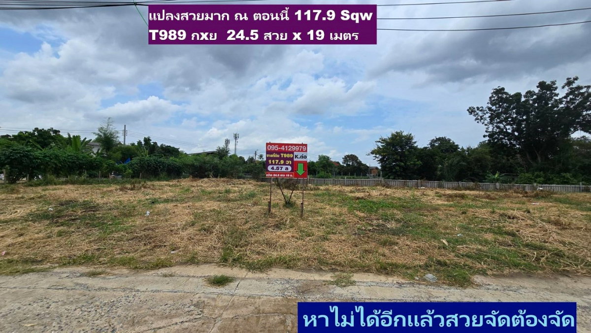 รูป ขายที่ดินจัดสรรถมแปลง 195 ตรวา ลานทอง 36/1 หายากหน้า 41 เมตรมี ปาร์ตี้บ่อยๆหน้าบ้านจอดรถได้สบายๆ 555 สวย (ไม่มีแล้ว) ม.ลานทอง ติวานนท์-ปากเกร็ด25  - รูปที่ 2/29