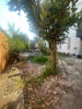 listing thumbnail image 36