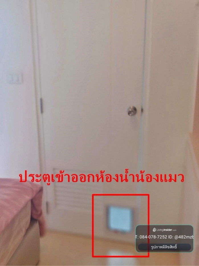รูป 🐶🐱 Pet Friendly | Duplex 2 ชั้น | 1 ห้องนอน | 36 ตร.ม. | 11,500 บ./ด. | พร้อมเข้า 26 ต.ค. 69 | ฟรีไอซ์แลนด์ ลาดพร้าว 93 - รูปที่ 10/35