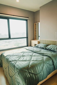 3 ห้องนอน | 3 ห้องน้ำ | BTS Khu Khot | 212 ตร.ม. | 38,000 บาท/เดือน | ชั้น 1 — The Tree Sukhumvit 71-Ekamai กรุงเทพฯ