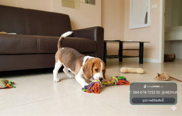 รูป 🐶🐱 Pet Friendly | Duplex 2 ชั้น | 1 ห้องนอน | 36 ตร.ม. | 11,500 บ./ด. | พร้อมเข้า 26 ต.ค. 69 | ฟรีไอซ์แลนด์ ลาดพร้าว 93 - รูปที่ 28/35