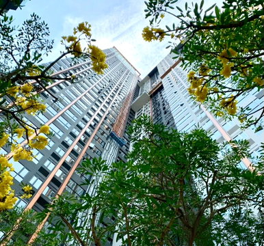 1Bed | 1Bath | MRT Huai Khwang | 31sqm | THB 18,000/mo | Fl.15 — XT Huaikhwang Bangkok