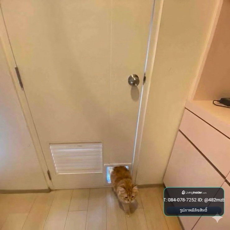 รูป 🐶🐱 Pet Friendly | Duplex 2 ชั้น | 1 ห้องนอน | 36 ตร.ม. | 11,500 บ./ด. | พร้อมเข้า 26 ต.ค. 69 | ฟรีไอซ์แลนด์ ลาดพร้าว 93 - รูปที่ 8/35