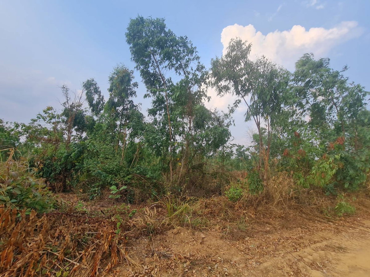 รูป ขายที่ดิน โฉนดราคาถูก บ้านหนองหมี ตำบลป่าหวาย อำเภอสวนผึ้ง จังหวัดราชบุรี เนื้อที่ 19 ไร่ ราคาไร่ละ 140,000 บาท - รูปที่ 3/3