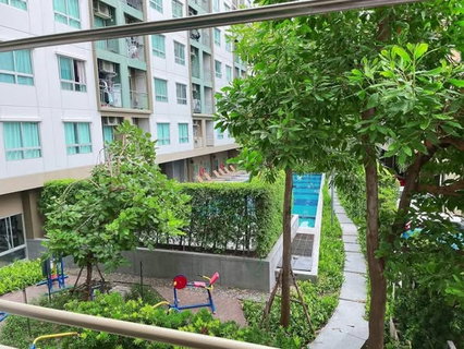 รูปภาพ 2Bed | 1Bath | BTS Bearing | 39sqm | THB 23,000/mo | Fl.2 — Lumpini Ville Sukhumvit 76 Bangkok