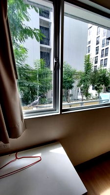 คอนโดให้เช่า : 1 ห้องนอน | 3 ห้องน้ำ | BTS On Nut | 35 ตร.ม. | 14,000 บาท/เดือน | ชั้น 2 — My Condo Sukhumvit 81 กรุงเทพฯ