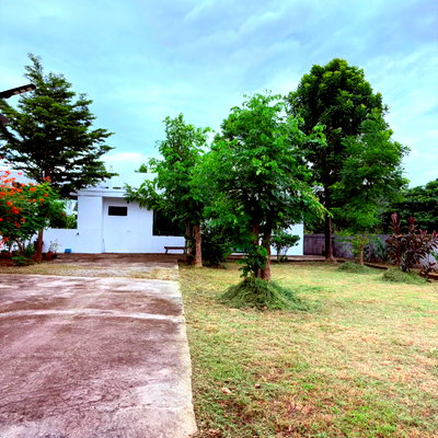 บ้านเดี่ยว ม.นอร์ท-เชียงใหม่ : 🏡 ขายบ้านพร้อมที่ดิน 188 ตร.ว. ใกล้นานาชาติเกรซ T. 063-6649056