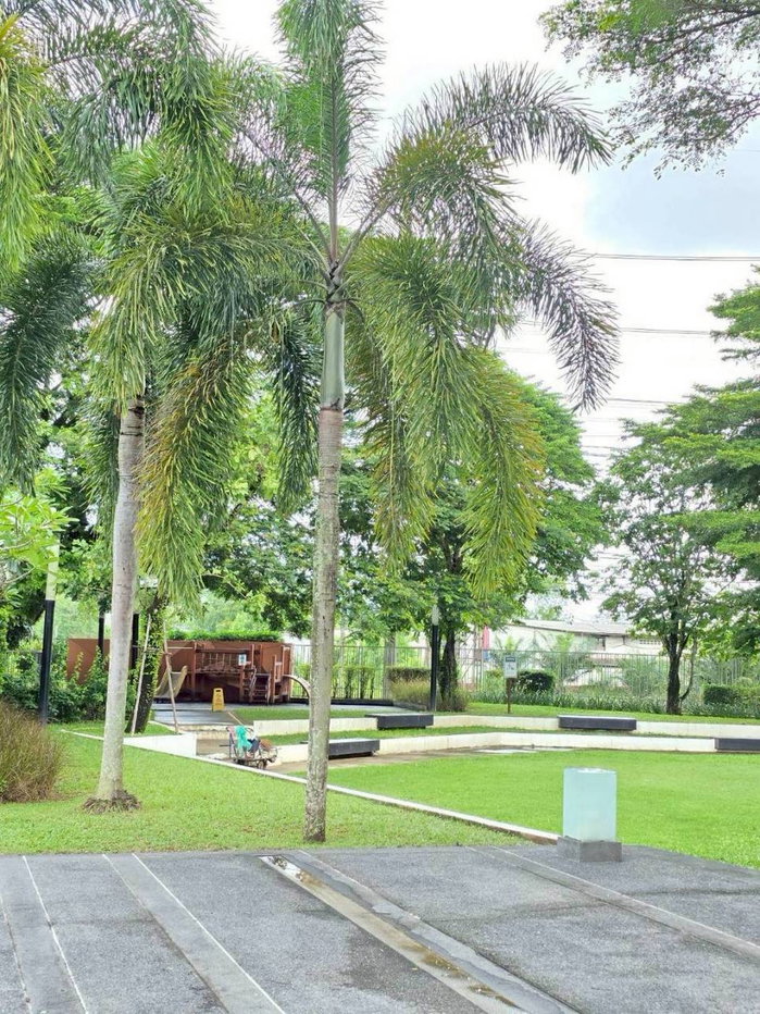 picture House Forrent Inizio Kohkeaw phuket  - 23/40