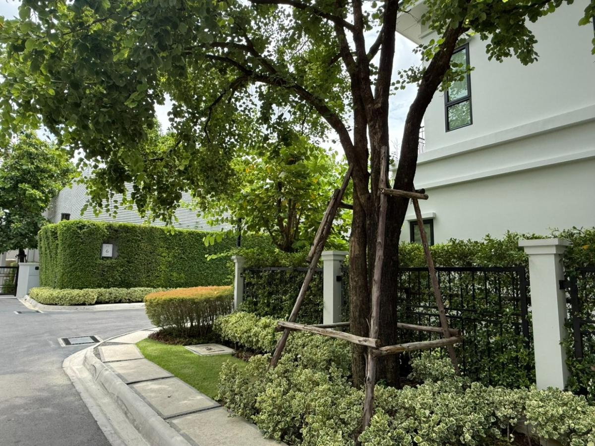 รูป ขาย บ้านเดี่ยว 2 ชั้น เศรษฐสิริ ราชพฤกษ์-พรานนก หลังมุม ไม่มีบ้านตรงข้าม ตำแหน่งหายาก - รูปที่ 4/18