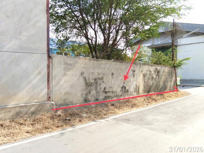 picture LAND 14.3 Sq.w. Chalermphrakiet Saraburi for 122,000 - 4/13