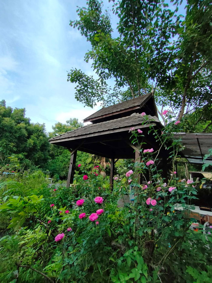 รูป 🌿🏡 ขายที่ดิน 4 ไร่ 83 ตร.ว. พร้อมบ้านสวน 4 หลัง ต.แม่โป่ง อ.ดอยสะเก็ด จ.เชียงใหม่ T. 063-6649056 - รูปที่ 14/18