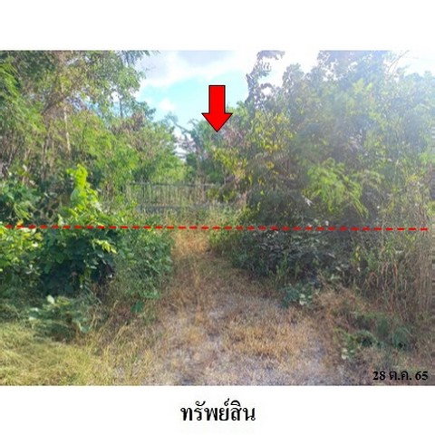 รูป Z3A1843 ขายที่ดินเปล่า ตำบล ช่องสาริกา อำเภอ พัฒนานิคม จังหวัด ลพบุรี - รูปที่ 5/8