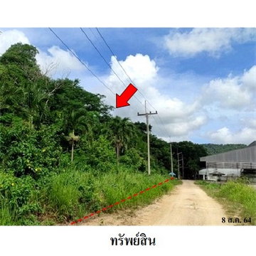 Thailand LAND for sale 12 Rai 0 Ngan 75 Square Wah 14084000 Baht.