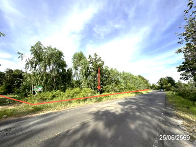 Land for sale Senangkhanikhom Amnat Charoen : LAND 5200 Sq.w. Senangkhanikhom Amnat Charoen for 3.7M