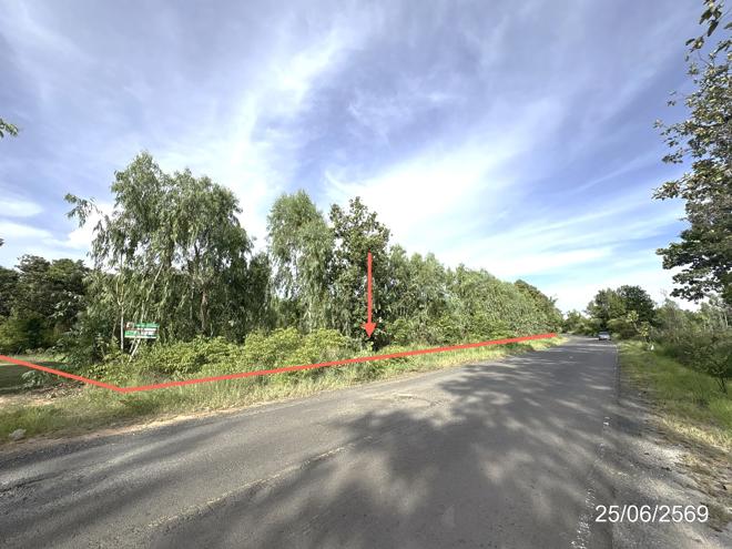 picture LAND 5200 Sq.w. Senangkhanikhom Amnat Charoen for 3.7M - 1/21