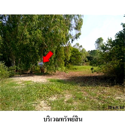 Land for sale Muang Suphanburi Suphanburi : Thailand LAND for sale 0 Rai 2 Ngan 0 Square Wah  1132000 Baht.