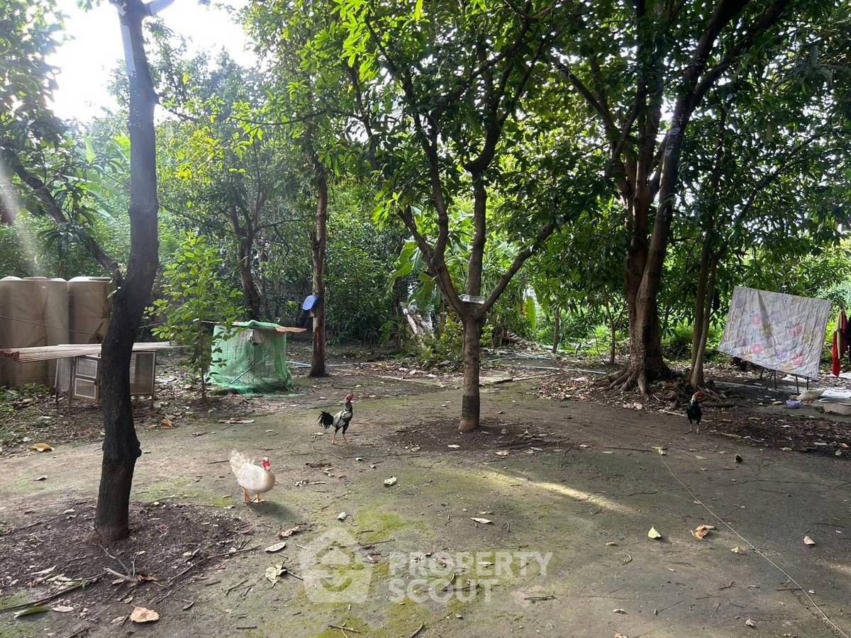 รูป ให้เช่าที่ดินลาดพร้าว กรุงเทพฯ ราคา 15,000 บาทต่อเดือน (ID 3275155) - รูปที่ 6/7