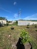 listing thumbnail image 20