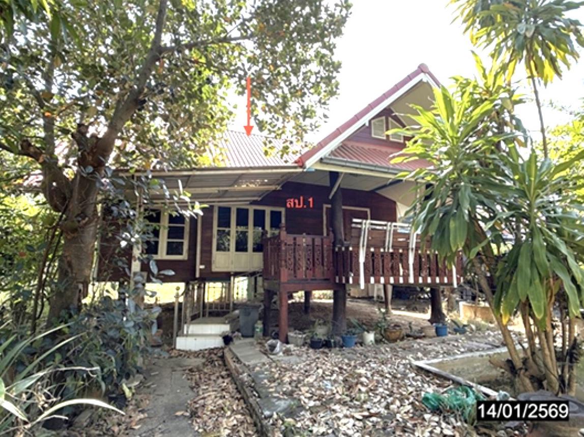 รูป บ้านเดี่ยว 300 ตร.วา เมืองชัยภูมิ ชัยภูมิ 2.9M - รูปที่ 13/25