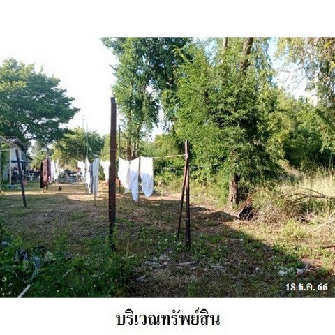 รูป Z8Z4873 ขายที่ดินเปล่า ตำบล ตะพง อำเภอ เมืองระยอง จังหวัด ระยอง - รูปที่ 4/8