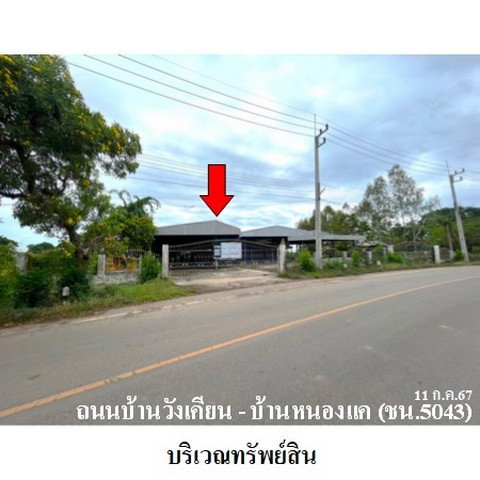 รูป Z3A1335 ขายโกดัง ตำบล นางลือ อำเภอ เมืองชัยนาท จังหวัด ชัยนาท - รูปที่ 1/8