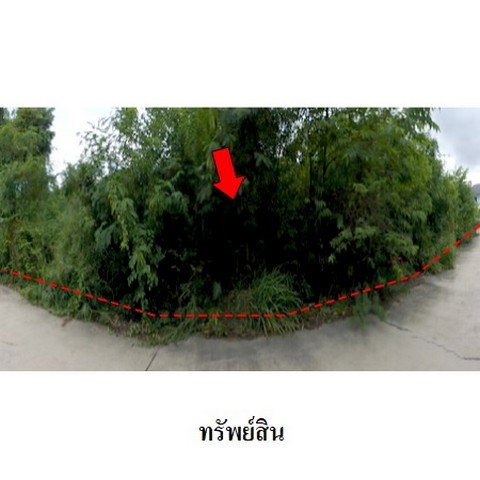 รูป Z8Z6443 ขายที่ดินเปล่า สวนวลีแลนด์ 4 ตำบล ทับมา อำเภอ เมืองระยอง จังหวัด ระยอง - รูปที่ 8/8