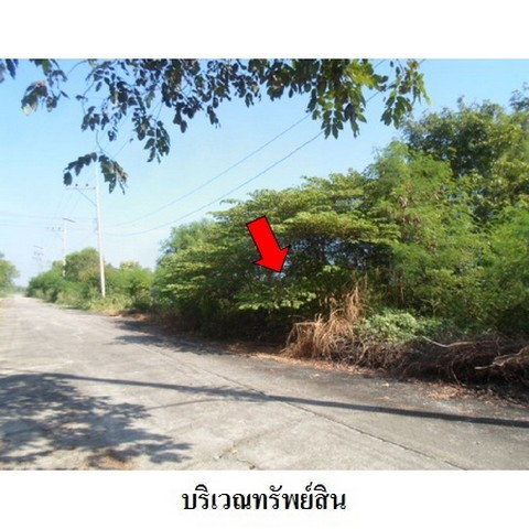 รูป Z8Z2197 ขายที่ดินเปล่า โครงการ บางไทรเวลเนสโฮม ตำบล แคตก อำเภอ บางไทร จังหวัด พระนครศรีอยุธยา - รูปที่ 7/8