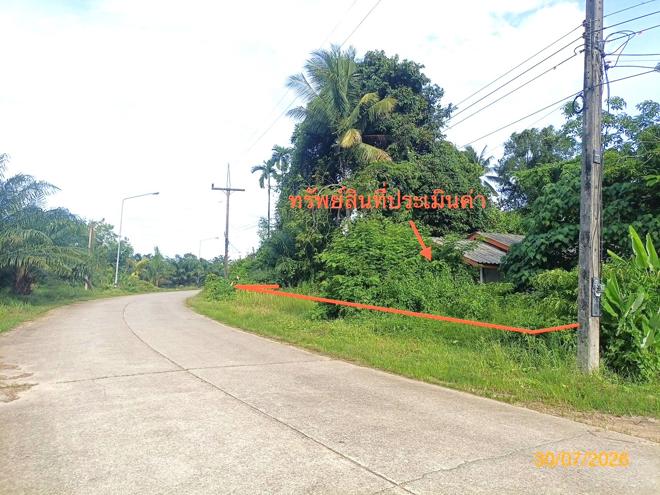 picture HOME 163.3 Sq.w. Rasada Trang for 864,000 - 11/25
