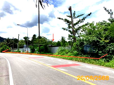Houses for sale Phangnga : HOME 1133 Sq.w. Muang Phangnga Phangnga for 4M