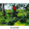 listing thumbnail image 5