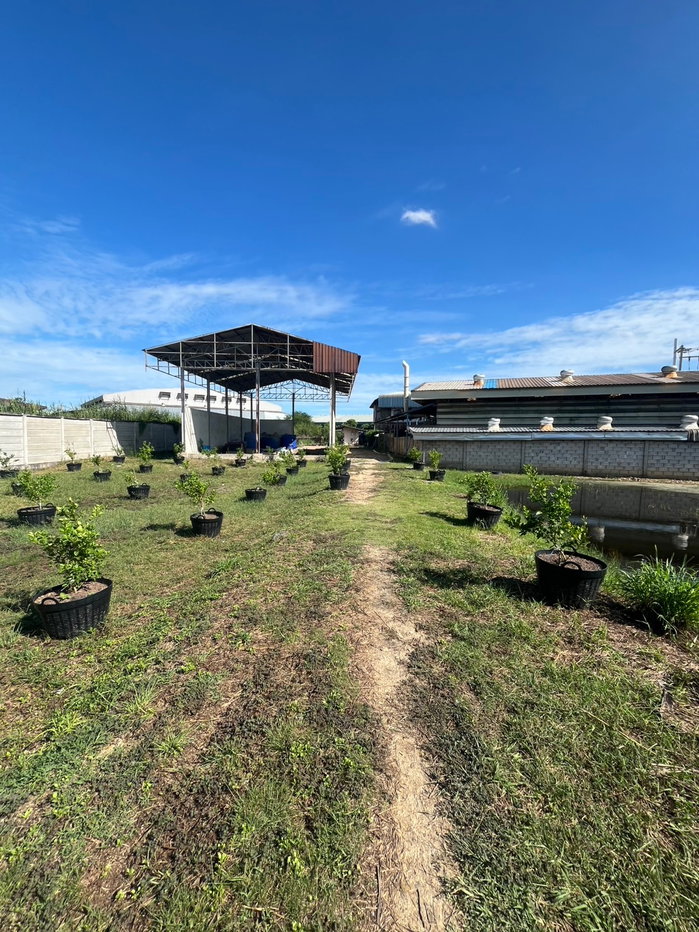 picture Land with buildings + house + warehouse, including factory license (Form 4). - 11/23