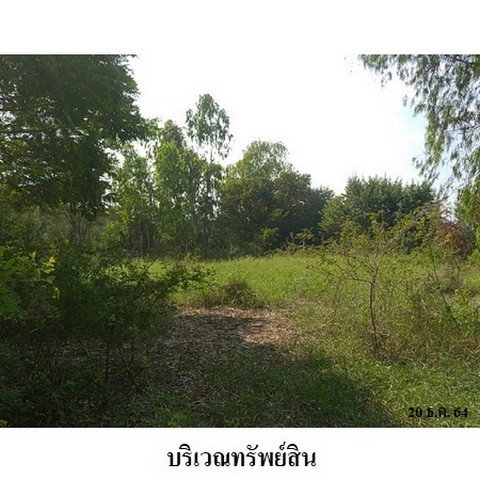 รูป Z8Z6979 ขายที่ดินเปล่า ตำบล ท่าระหัด อำเภอ เมืองสุพรรณบุรี จังหวัด สุพรรณบุรี - รูปที่ 3/8